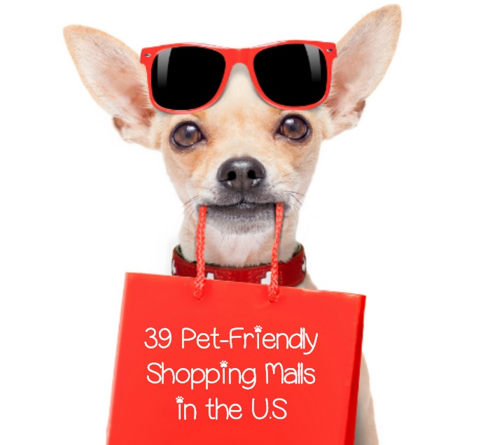 39 Pet-Friendly Shopping Malls in the U.S - DogVills