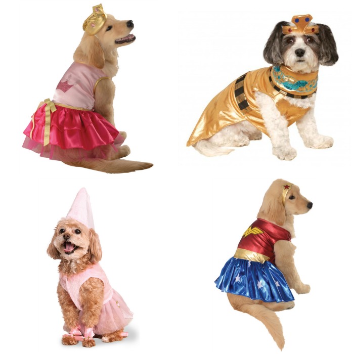 Fido will be the talk of the town on Trick or Treat night with these 12 awesome Halloween costumes for dogs! Includes boys, girls, and unisex. Check them out now! 