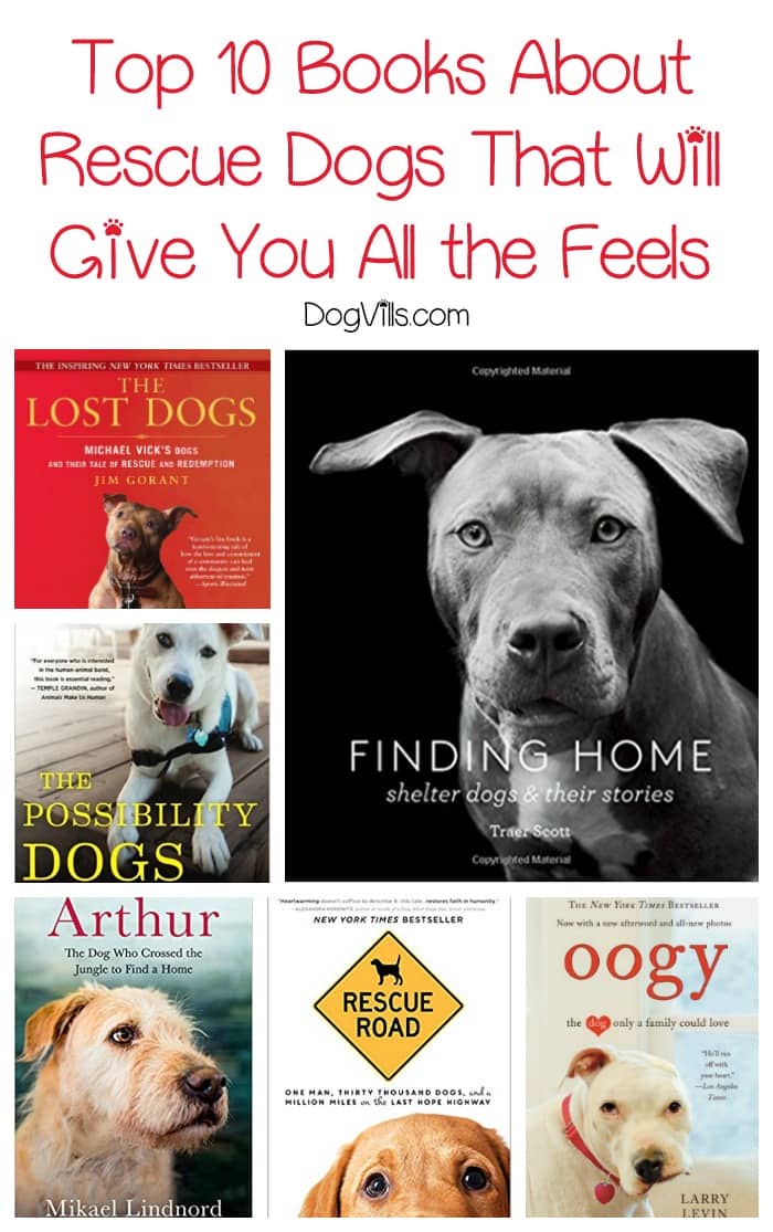 top 10 books about rescue dogs that will give you all the feels