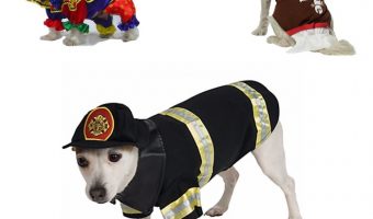 Fido will be the talk of the town on Trick or Treat night with these 12 awesome Halloween costumes for dogs! Includes boys, girls, and unisex. Check them out now!