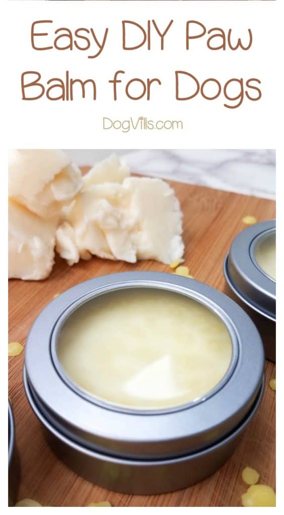 Easy DIY Paw Balm Recipe to Smooth Your Dogs' Rough Pads DogVills
