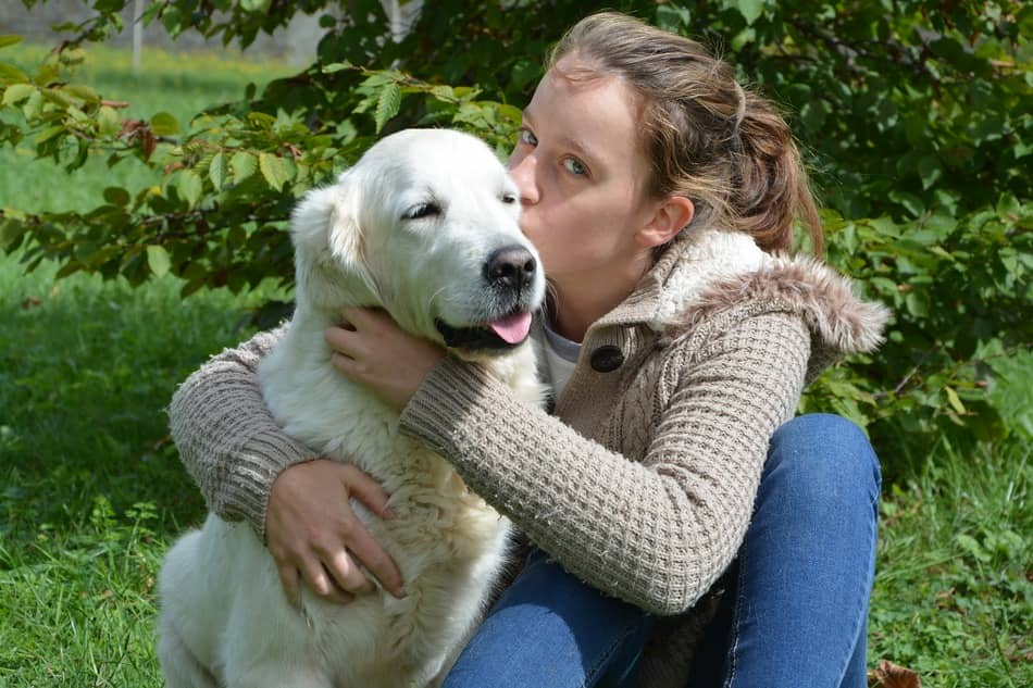 Dog Fickt Frau Dog Fickt Frau