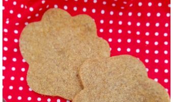 While you're baking the Christmas cookies this year, don't forget to whip up a special holiday dog treat for Fido! Check out our easy recipe!