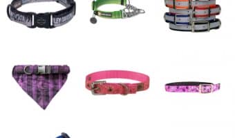 How insanely adorable are these 12 dog collars? Grab one for every day of the week! Check them out now.