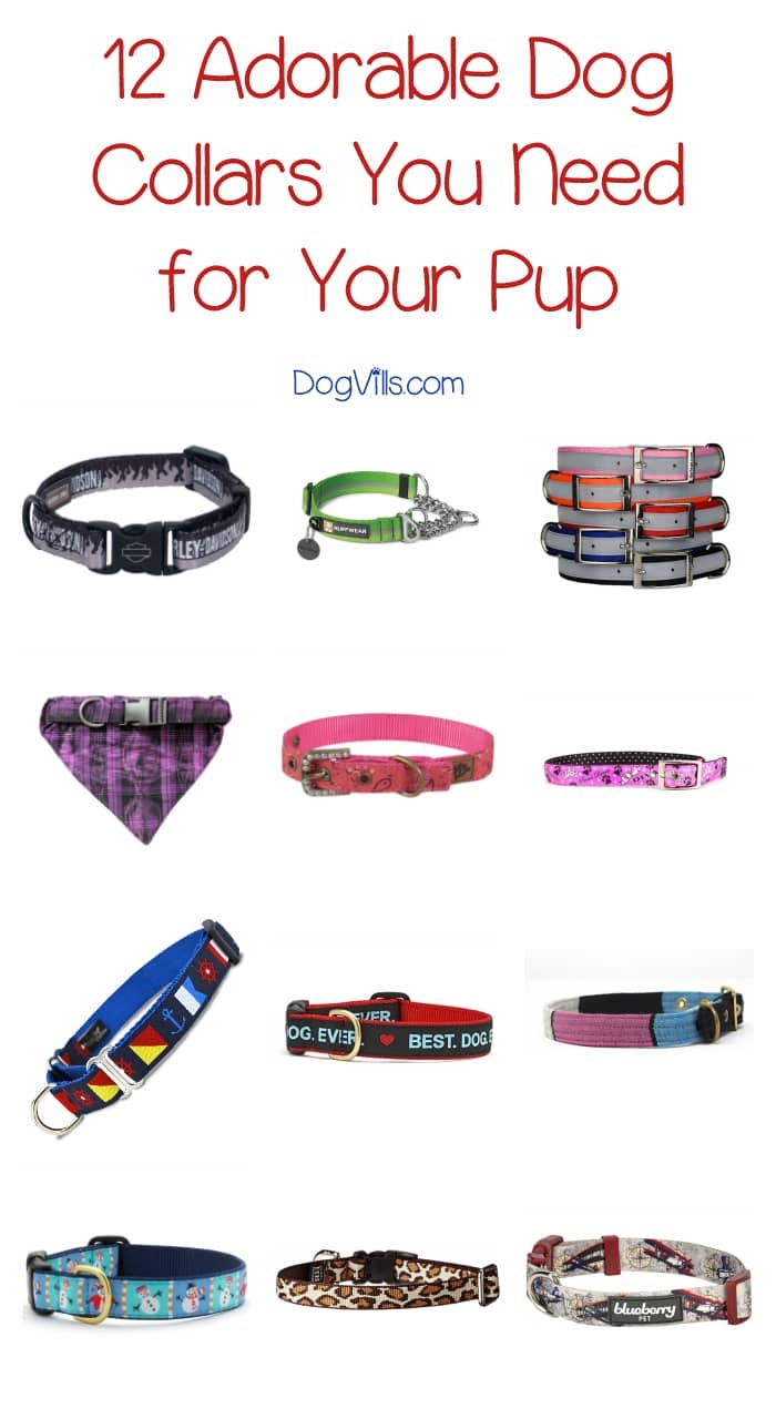 12 Adorable Dog Collars You Need for Your Pup DogVills
