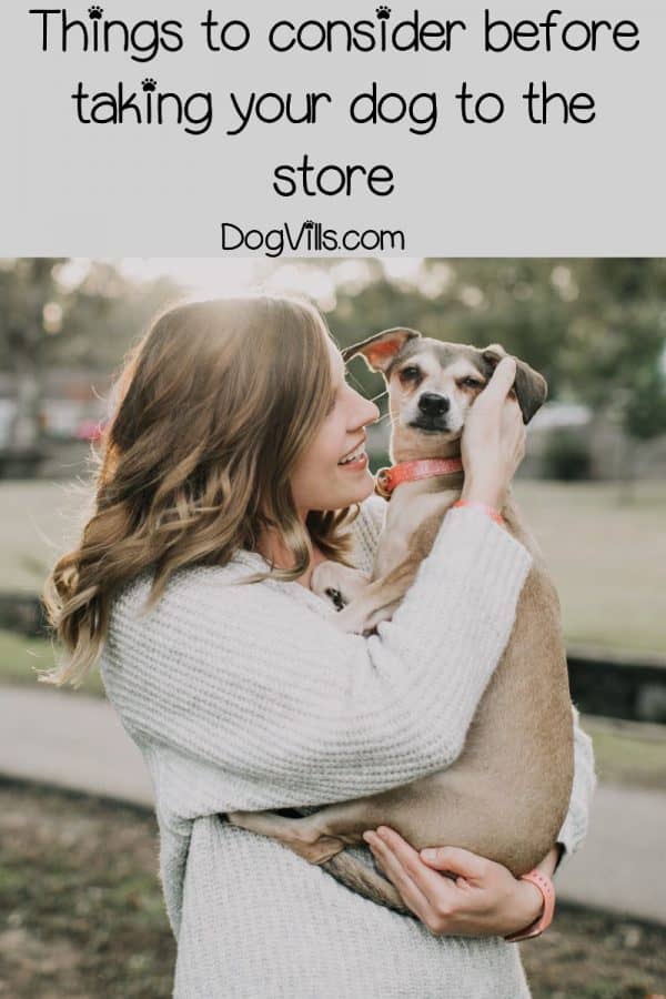 Major Stores That Allow Dogs In The Us Extensive List