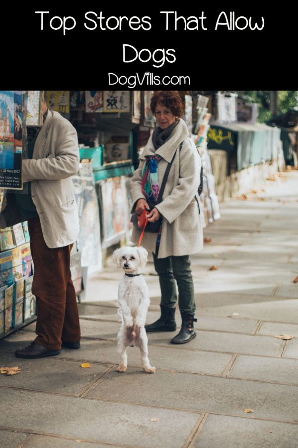 Can't bear to leave your pooch behind while you go shopping? Check out this list of the top dog friendly stores in the US and bring him along for the ride!