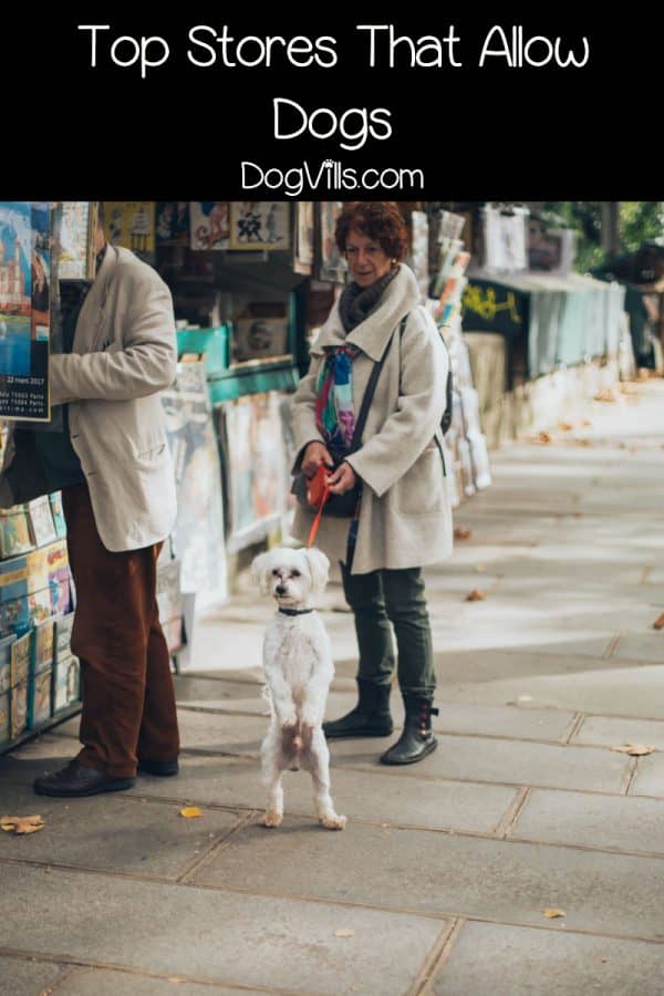 dog friendly shopping centre