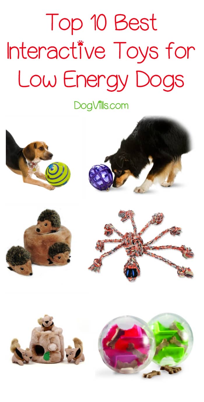 best interactive dog toys 2018