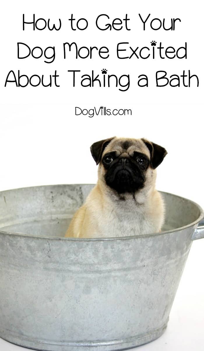 How to Make Your Dog Love His Bath DogVills