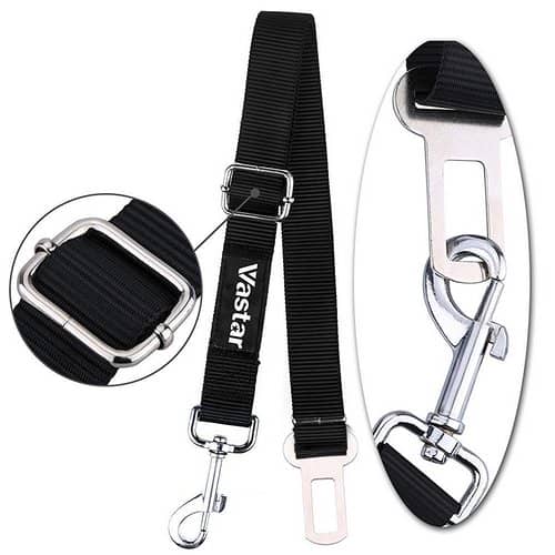 The 7 Best Dog Travel Accessories for a Smooth Getaway