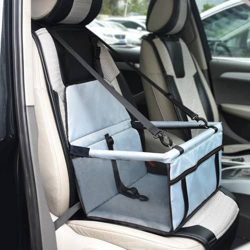 The 7 Best Dog Travel Accessories for a Smooth Getaway