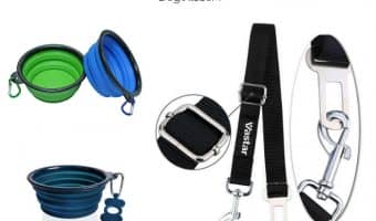 Traveling with a dog can be a great experience! However, you must be prepared for this adventure and be aware of all the problems that can arise. That is why we have prepared tips for traveling with a dog for you. Check them out! 