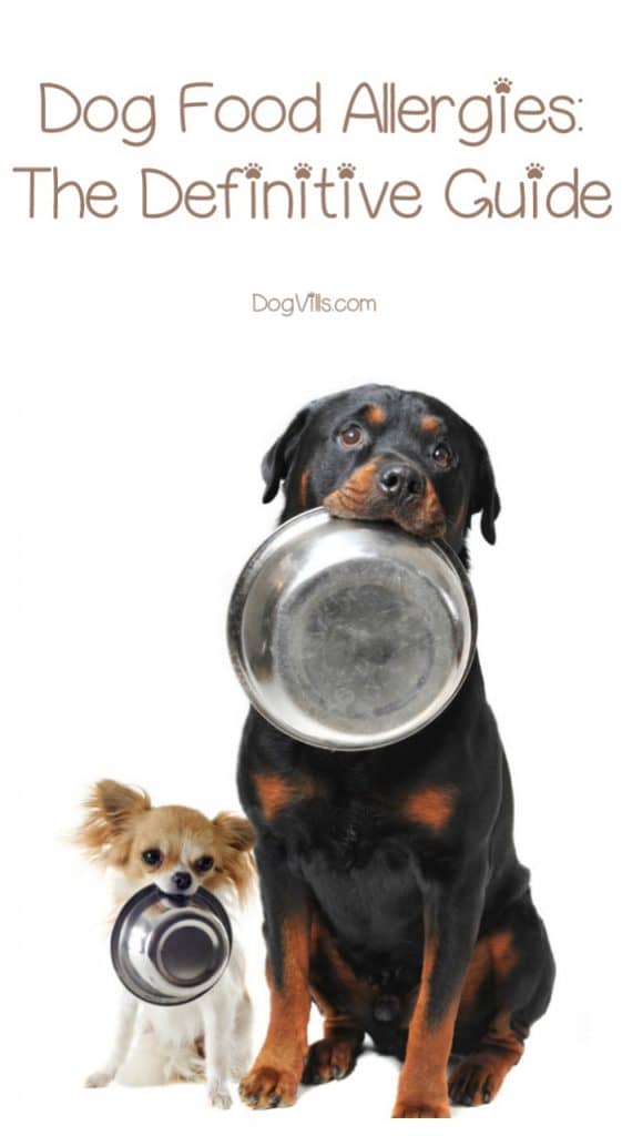 rottweiler food allergies