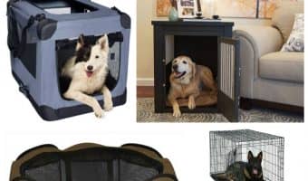 Looking for the best large dog crate ideas for your big pup? We've got you covered! Check out our top five picks!