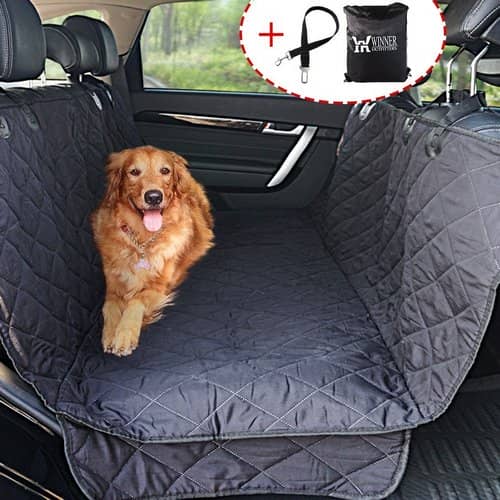 The 7 Best Dog Travel Accessories for a Smooth Getaway