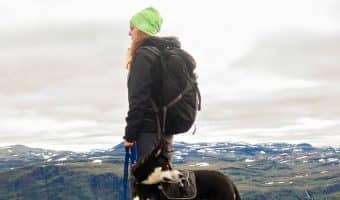 Get out those hiking books because today, we're going to explore the top dog-friendly hiking trails in the U.S! You can take along your best furry pal and enjoy on of these awesome hiking trails in California, Florida, Illinois, New York and Texas. Check them out!