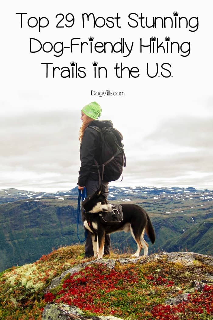 29 Stunning DogFriendly Hiking Trails in the U.S. DogVills