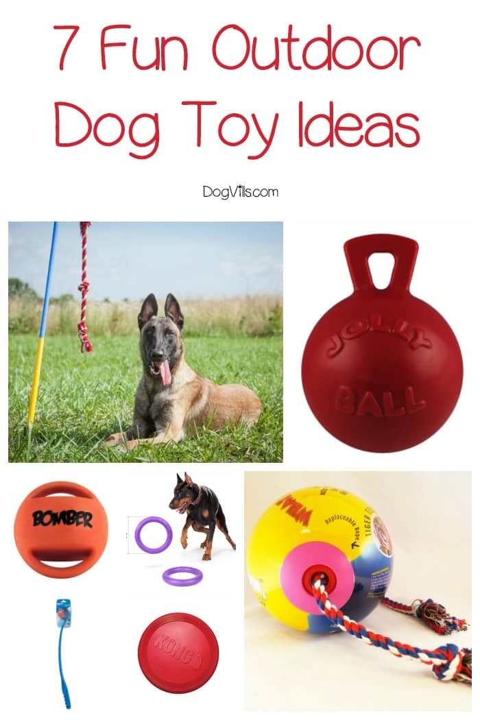 outdoor puppy toys