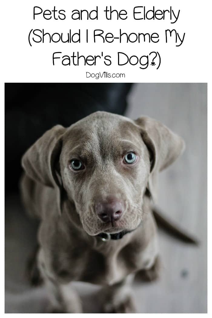 Dog Barks So Much Neighbors Complain Dog Barks So Much Neighbors Complain