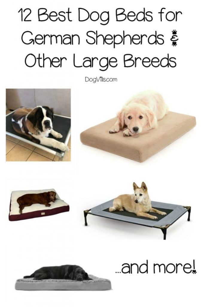 12 Best Dog Beds for German Shepherds DogVills