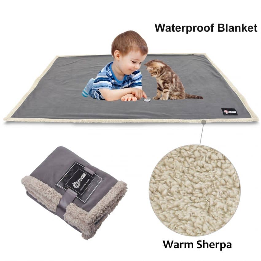 Top 16 Best Dog Blankets Guide) DogVills