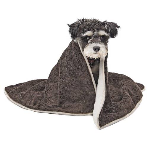 PAWZ Road Dog Blanket