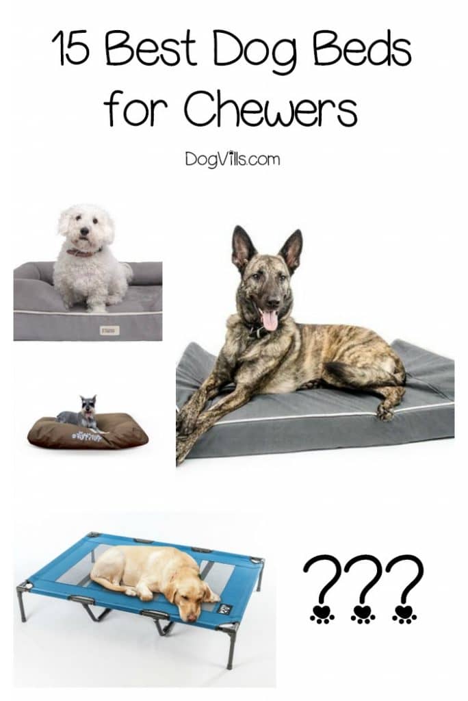 15 Best Dog Beds for Chewers DogVills