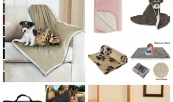 Not sure how to choose the best dog blankets? We've got you covered! Our complete guide helps you pick the perfect blanket for every purpose! Don't miss it!