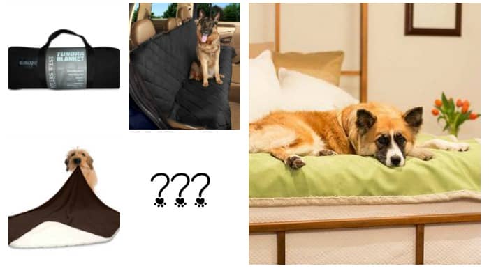 cleaning dog blankets