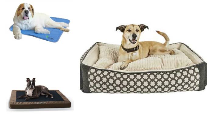 best bedding for outside dogs