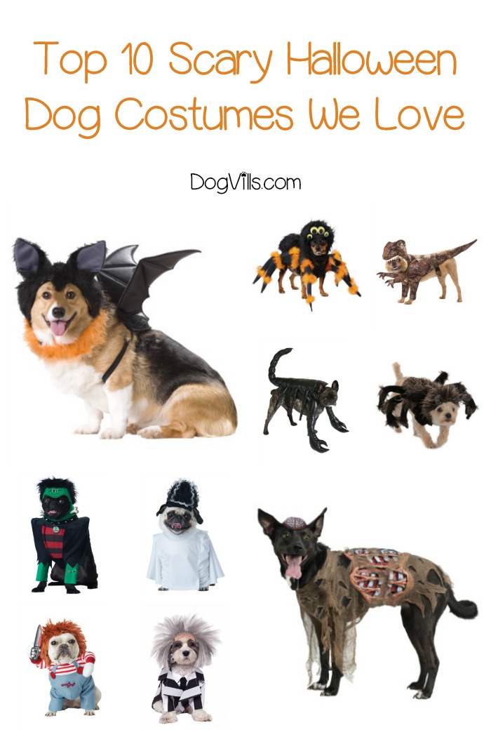 Top 10 Scary Halloween Dog Costumes Dogvills