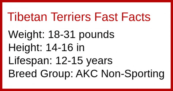 Weight: 18-31 pounds Height: 14-16 in Lifespan: 12-15 years Breed Group: AKC Non-Sporting