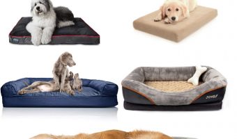 Finding extra large dog couches that will fit all your needs is not an easy task. Don't worry, though, I'll help you choose! Check out the pros and cons of the top 15 extra large dog couches!