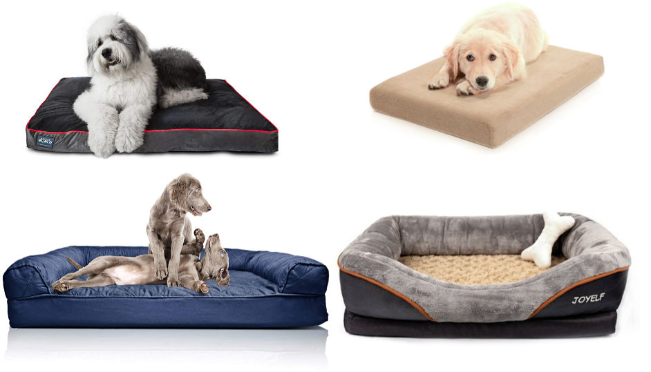 15 Best Extra Large Dog Couches Dogvills, X Large Dog Sofa Bed