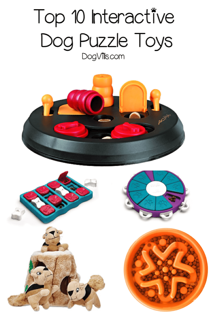 Top 10 Interactive Dog Puzzles Your Pooch Will Love - http://www