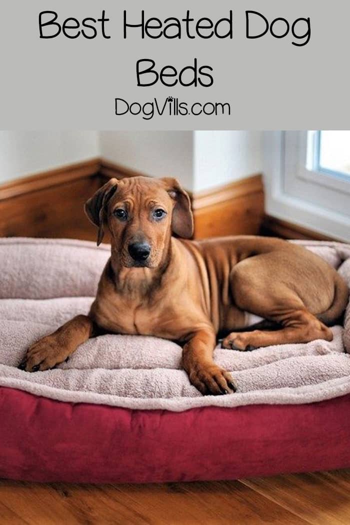 heated dog pillow