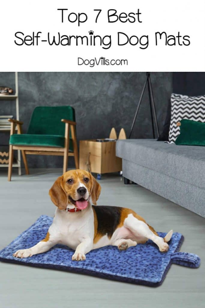 Top 7 Best SelfWarming Dog Mats (+ a DIY Pet Mat Tutorial)! DogVills