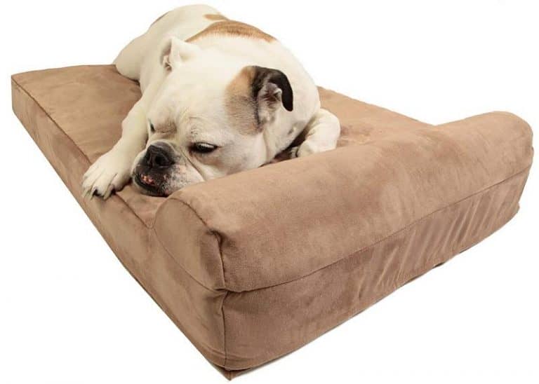 Big Barker Bed Review Is it the Right Orthopedic Dog Bed for You?
