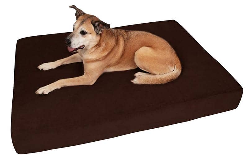 Big Barker Bed Review Is it the Right Orthopedic Dog Bed for You?