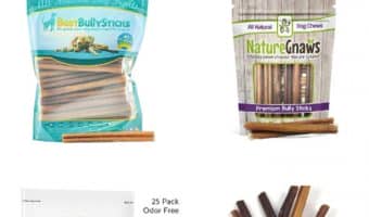 Looking for a great alternative to rawhide bones? Check out our bully sticks reviews and decide which one is best for your dog!
