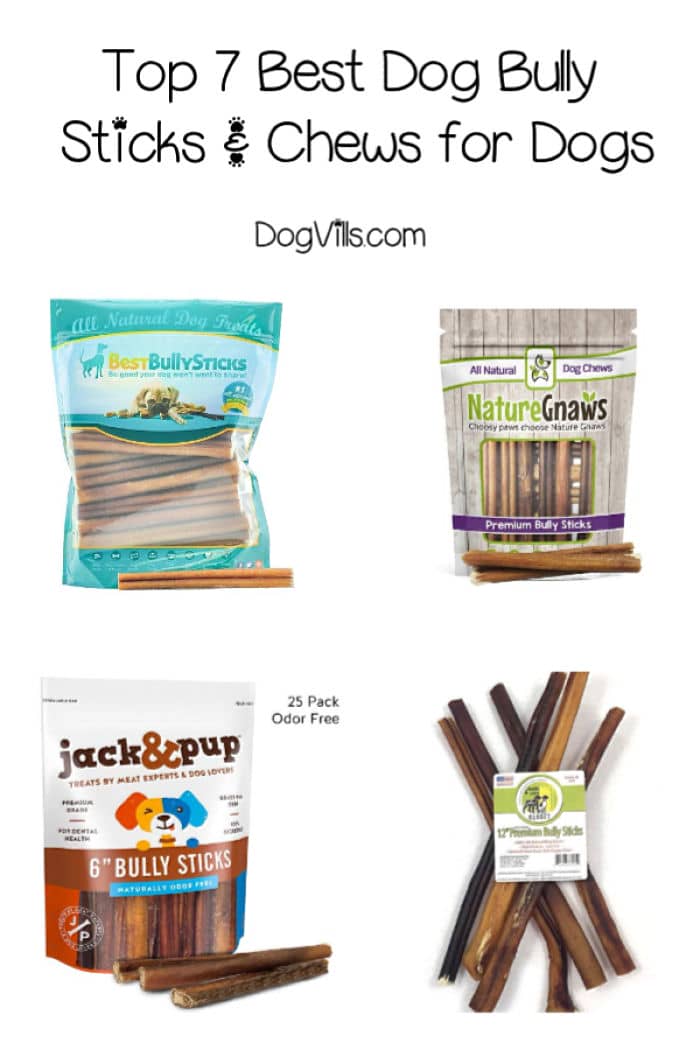 Bully Sticks Reviews 7 Best Options for Your Dog DogVills