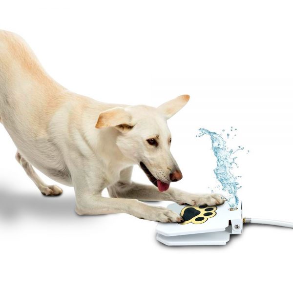 OUtdoor dog water fountain
