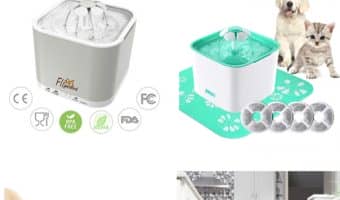 If you want to encourage your dog to drink more, consider grabbing one of these best water fountains for dogs. You'll wonder why you didn't get one sooner!