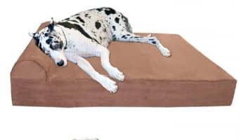 Is the Big Barker orthopedic dog bed right for your pup? Check out all the features, pro & cons, and alternatives to help you make an informed decision!