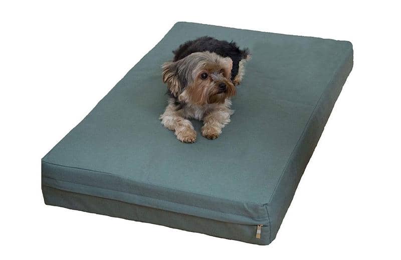 Big Barker Bed Review Is it the Right Orthopedic Dog Bed for You?