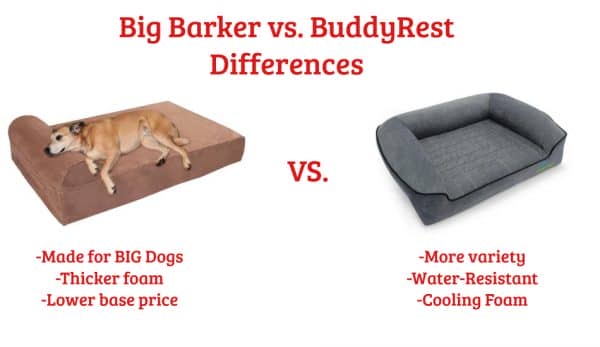 Big Barker vs BuddyRest Dog Bed Differences