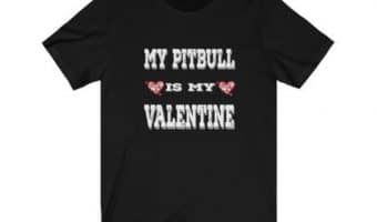 Get ready to say "awww," you're going to love these adorable Valentine's Day gifts for pitbull lovers! Check them out and get them for your special someone!