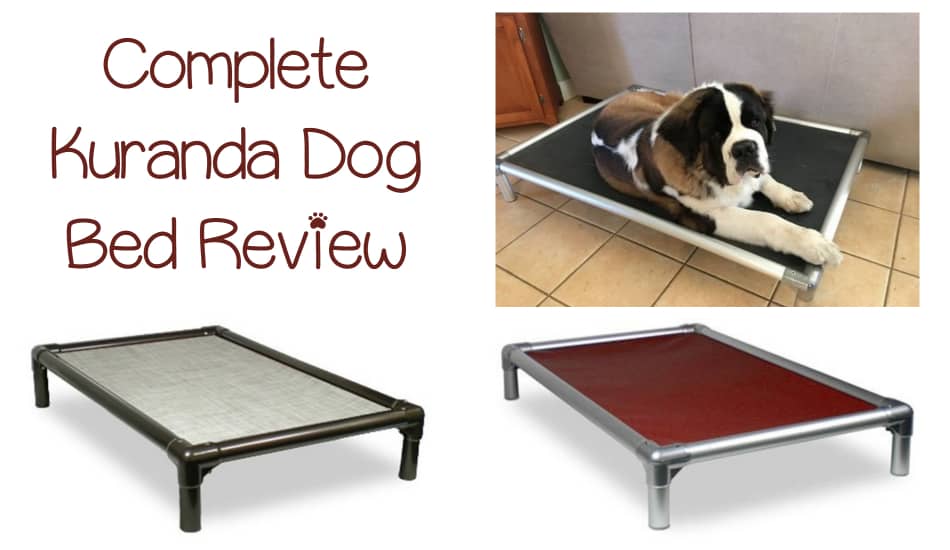 kuranda xl dog bed