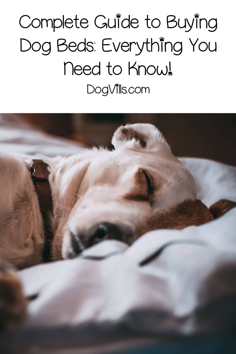 Buying a dog bed? This Review Guide Will Help You Decide DogVills